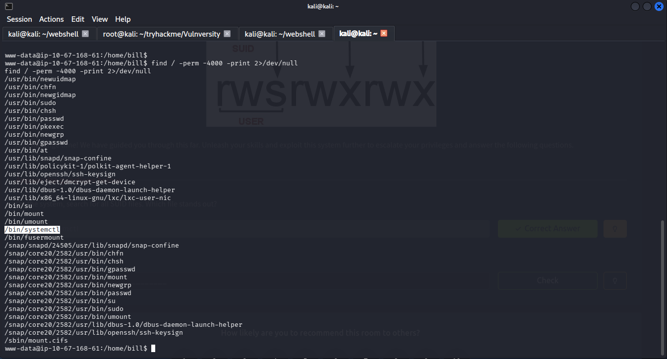 Searching SUID Files